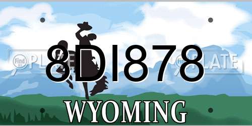 8DI878 Wyoming License Plate