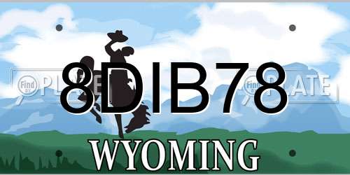 8DIB78 Wyoming License Plate