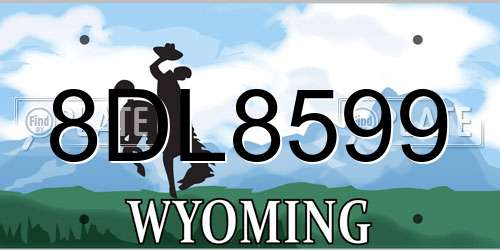 8DL8599 Wyoming License Plate