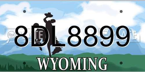8DL8899 Wyoming License Plate