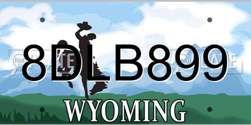 8DLB899 Wyoming License Plate