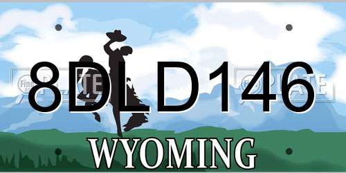 8DLD146 Wyoming License Plate