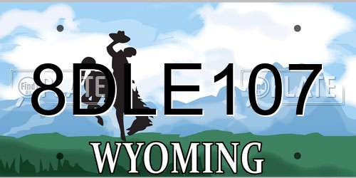 8DLE107 Wyoming License Plate
