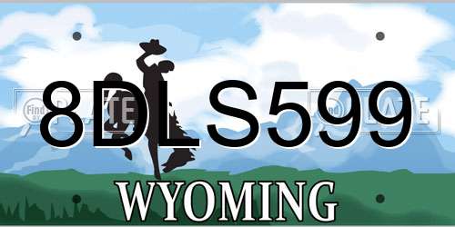 8DLS599 Wyoming License Plate