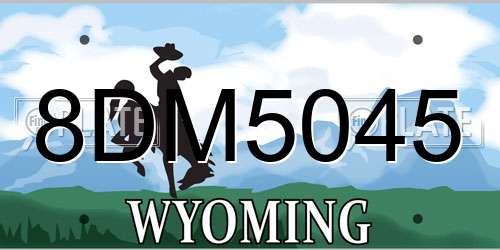 8DM5045 Wyoming License Plate