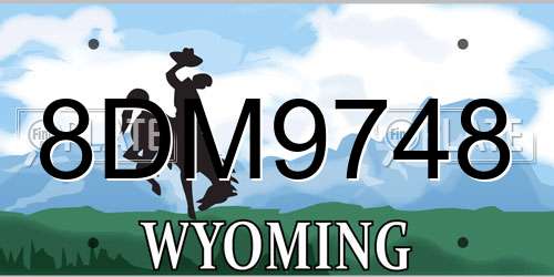 8DM9748 Wyoming License Plate