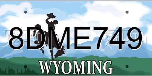 8DME749 Wyoming License Plate