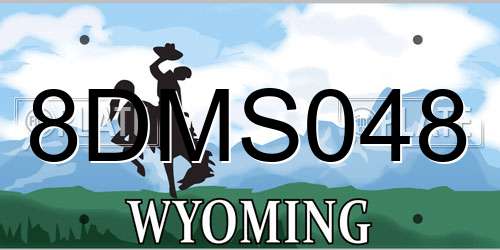 8DMS048 Wyoming License Plate
