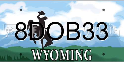 8DOB33 Wyoming License Plate