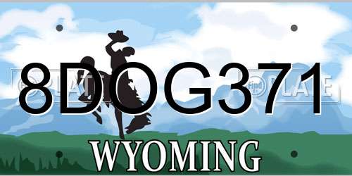 8DOG371 Wyoming License Plate