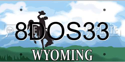 8DOS33 Wyoming License Plate