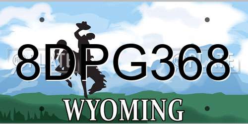 8DPG368 Wyoming License Plate
