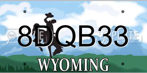 8DQB33 Wyoming License Plate