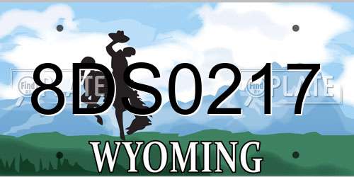 8DS0217 Wyoming License Plate