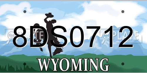 8DS0712 Wyoming License Plate