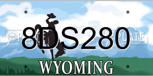 8DS280 Wyoming License Plate