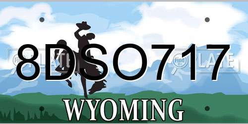 8DSO717 Wyoming License Plate