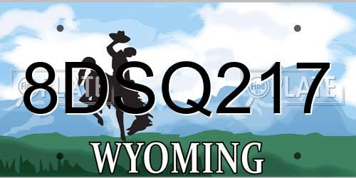 8DSQ217 Wyoming License Plate