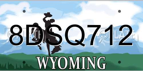 8DSQ712 Wyoming License Plate