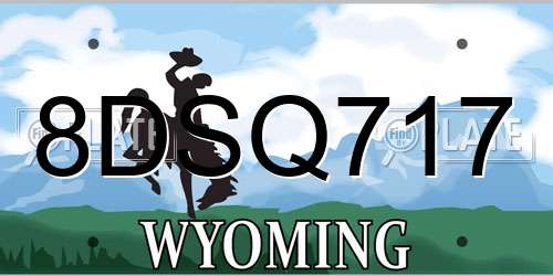 8DSQ717 Wyoming License Plate