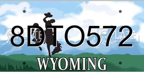 8DTO572 Wyoming License Plate