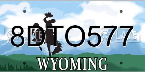 8DTO577 Wyoming License Plate