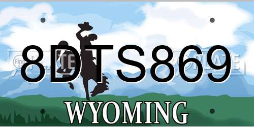 8DTS869 Wyoming License Plate
