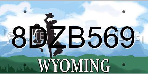 8DZB569 Wyoming License Plate