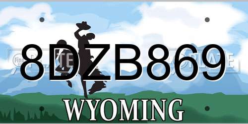 8DZB869 Wyoming License Plate