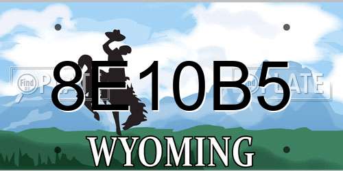 8E10B5 Wyoming License Plate