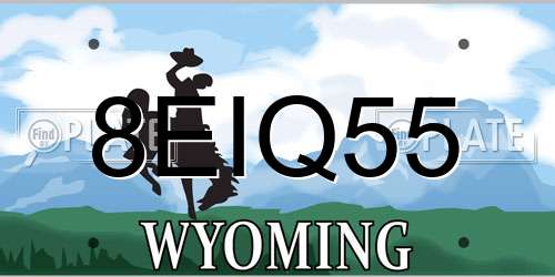 8EIQ55 Wyoming License Plate