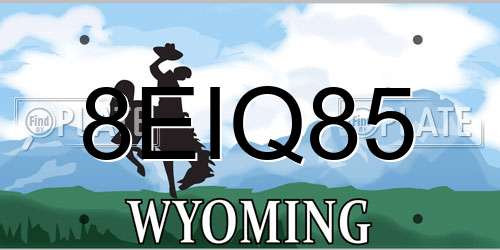 8EIQ85 Wyoming License Plate