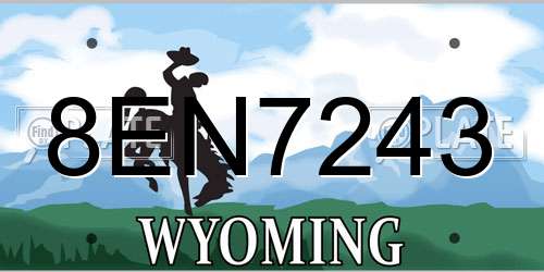8EN7243 Wyoming License Plate