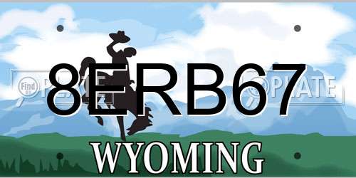 8ERB67 Wyoming License Plate