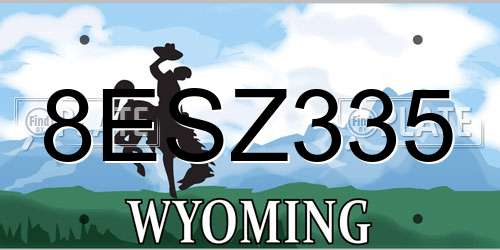 8ESZ335 Wyoming License Plate