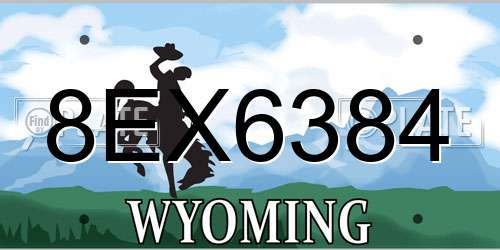 8EX6384 Wyoming License Plate