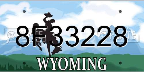 8F33228 Wyoming License Plate