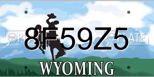 8F59Z5 Wyoming License Plate