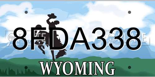 8FDA338 Wyoming License Plate