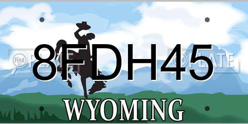 8FDH45 Wyoming License Plate