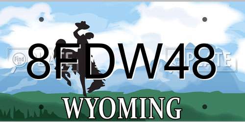 8FDW48 Wyoming License Plate