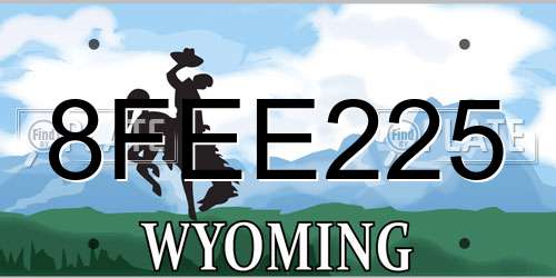 8FEE225 Wyoming License Plate