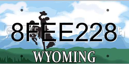 8FEE228 Wyoming License Plate