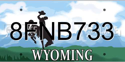 8FNB733 Wyoming License Plate