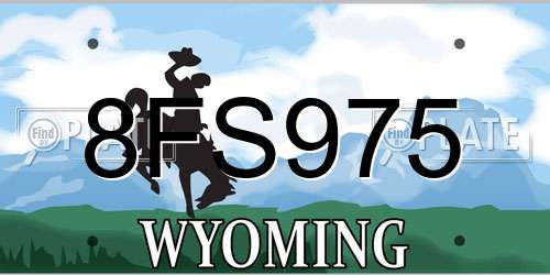 8FS975 Wyoming License Plate