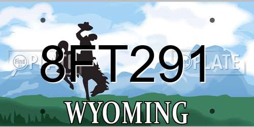 8FT291 Wyoming License Plate
