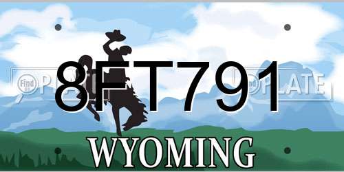 8FT791 Wyoming License Plate