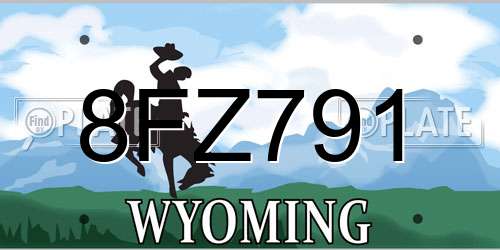 8FZ791 Wyoming License Plate