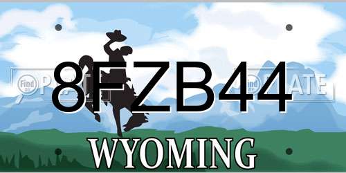8FZB44 Wyoming License Plate