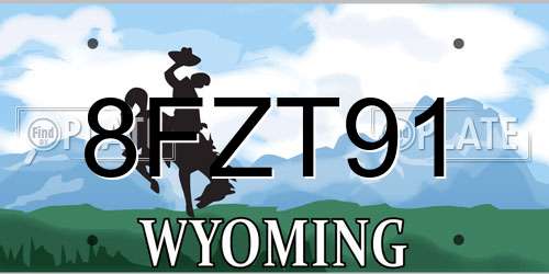 8FZT91 Wyoming License Plate
